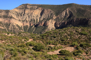 Argan forest in Morocco