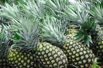 
MALACCA, MALAYSIA -OCTOBER 01, 2016: Pile pineapple fruit which has been harvested and display...