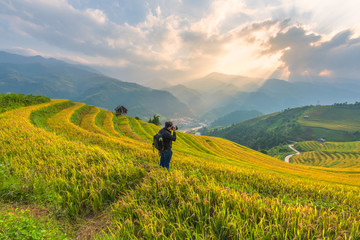 Fototapeta na wymiar Photography take a photo at rice fields on terraced of Vietnam. Rice fields prepare the harvest at Northwest Vietnam.Vietnam landscapes.