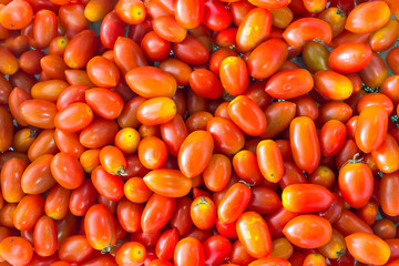 Red Tomatoes Background, Group of fresh Tomatoes
