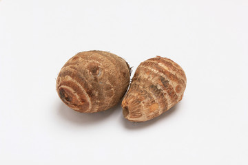 サトイモ     里芋     さといも