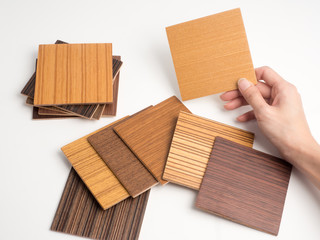 Samples of veneer wood on white background. interior design select material for idea.