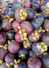 Pile of ripe mangosteen