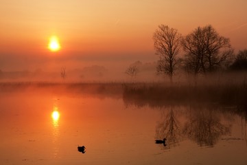 Obraz na płótnie Canvas sunrise over a lake with ducks 4
