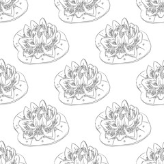 monochrome seamless pattern with water lilies