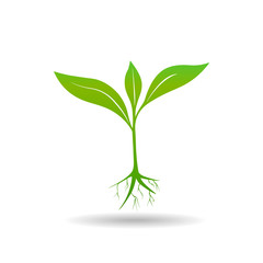 Green young plant. Eco symbol