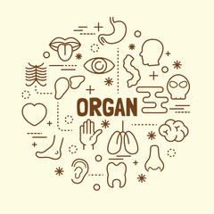 organ minimal thin line icons set