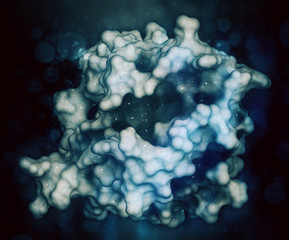 BCL-2 protein, 3D rendering. Prevents apoptosis (cell death) and often found overexpressed in cancer cells.