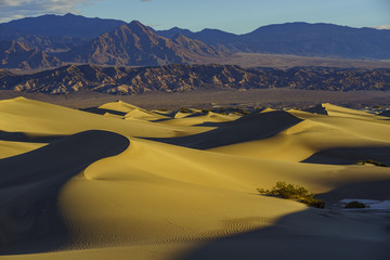 The beautiful Mesquite Flat Dunes