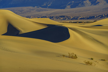 Fototapeta na wymiar The beautiful Mesquite Flat Dunes