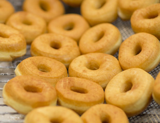 Freshly Made Donuts