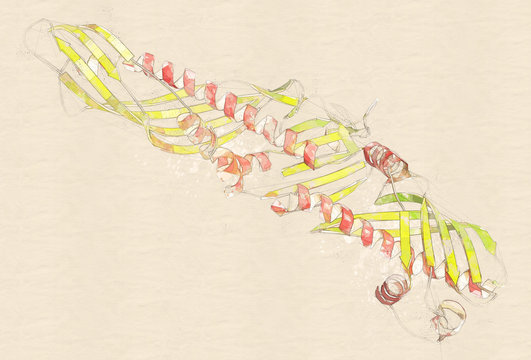 Cholesteryl ester transfer protein (CETP), 3D rendering. 