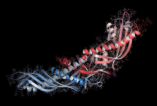 Cholesteryl ester transfer protein (CETP), 3D rendering. 