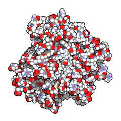 Tumor necrosis factor alpha (TNF) cytokine protein molecule