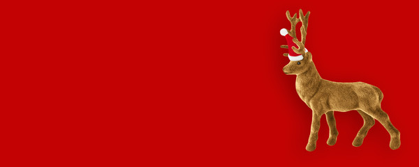 Reindeer - Background