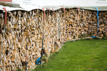 timber harvesting in the countryside in a small factory. The trunks of old trees sawed and packaged. Production of wood for fireplaces.