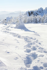 Winter landscape. Footprints in the snow