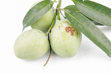 green mango on white background