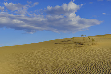 Naklejka premium The beautiful Mesquite Flat Dunes