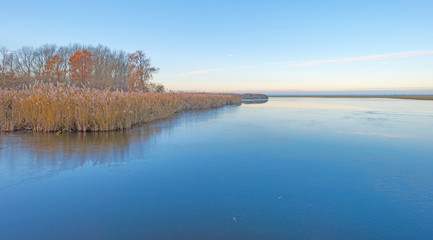 Shore of a lake in sunlight in autumn