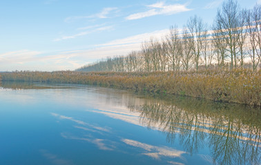 Shore of a lake in sunlight in autumn