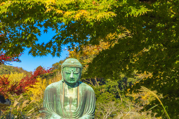 The Great Buddha in Kamakura, which is surrounded by autumn leaves.