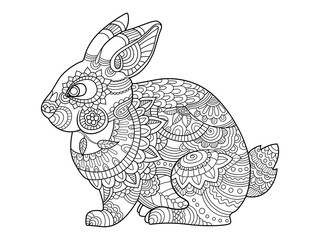 Rabbit bunny coloring book for adults vector