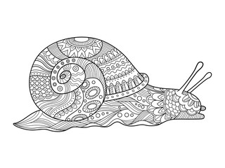 Snail coloring book for adults vector