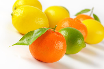fresh citrus fruit
