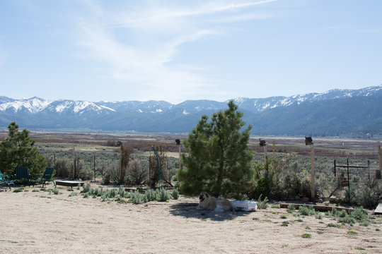 Washoe Valley