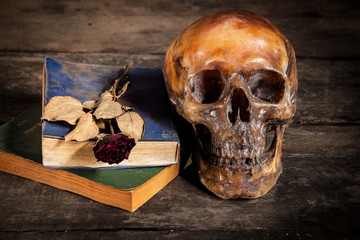 still life with human skull and roses dried and book on old wooden background