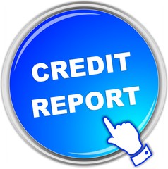 button credit report