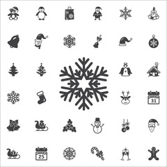 Fototapeta premium snowflake