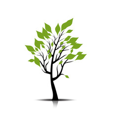 Tree with green leafage. Vector.