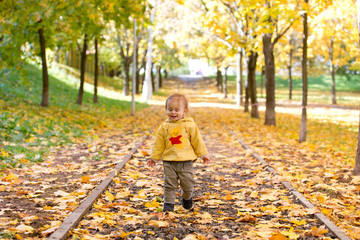 Child playing with leaves in autumn Park