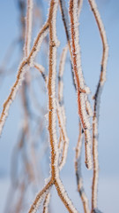 Great nice cozy winter landscape in the Netherlands