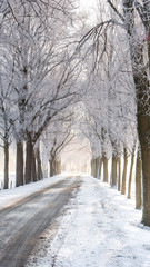 Great nice cozy winter landscape in the Netherlands