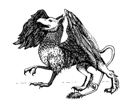 Griffin.Legendary creature. Heraldic symbol. Vintage hand drawn illustration.