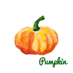 Watercolor pumpkin