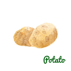 Watercolor potato