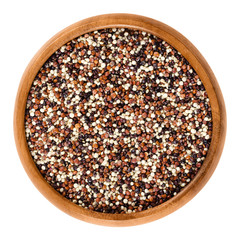 Mixed quinoa seeds in wooden bowl. Yellow, red and black edible fruits of grain crop Chenopodium quinoa in the Amaranth family, a pseudocereal. Isolated macro food photo close up from above on white.