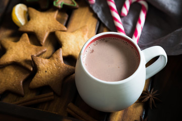 Hot chocolate and cookies