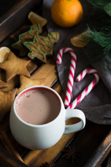 Hot chocolate and cookies