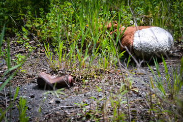 parts of a teddy bear and a rust spray can lost in nature