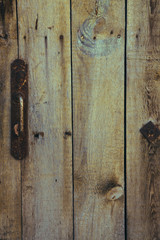 background with old tree