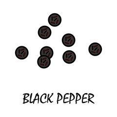 black pepper flat icon