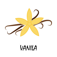 vanila flat icon - 128349874