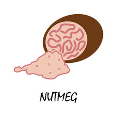 nutmeg flat icon