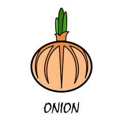 onion flat icon