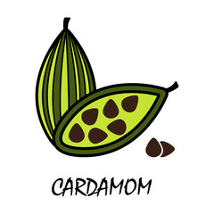 cardamon flat icon